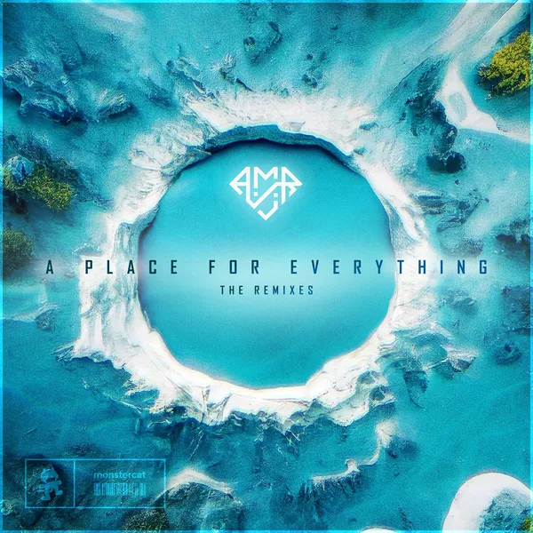 Album art of A Place For Everything
