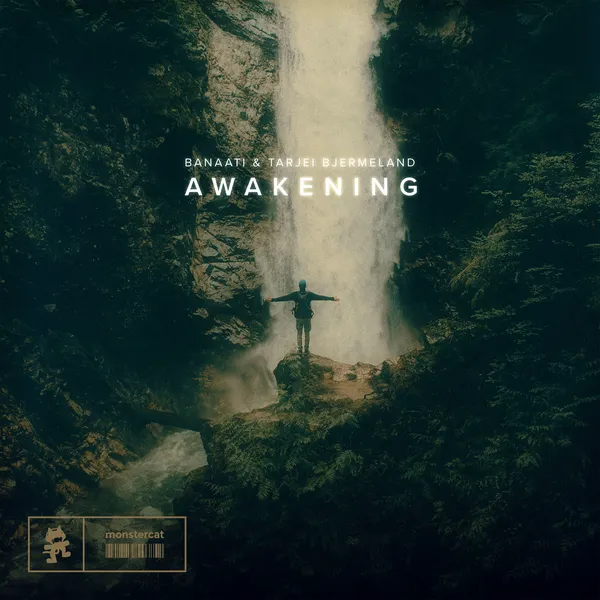 Album art of Awakening