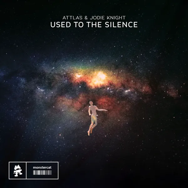 Album art of Used To The Silence