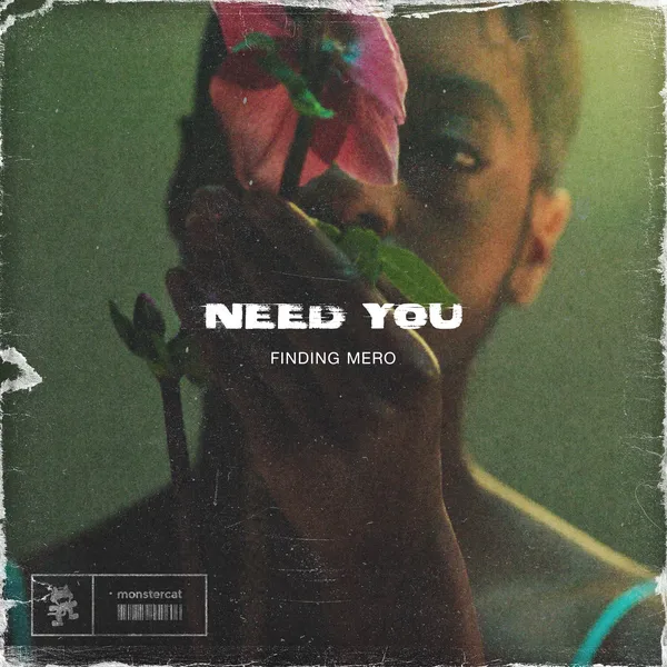 Album art of Need You