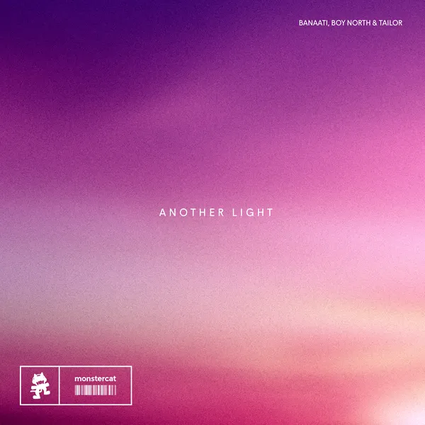 Album art of Another Light