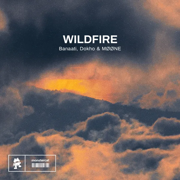 Album art of Wildfire