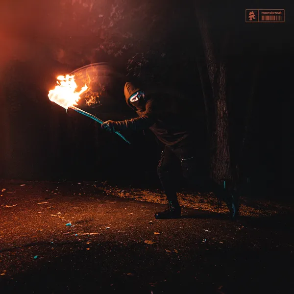 Album art of Stealing Fire