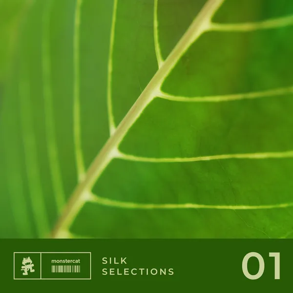 Album art of Silk Selections 01