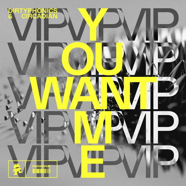 Album art of You Want Me