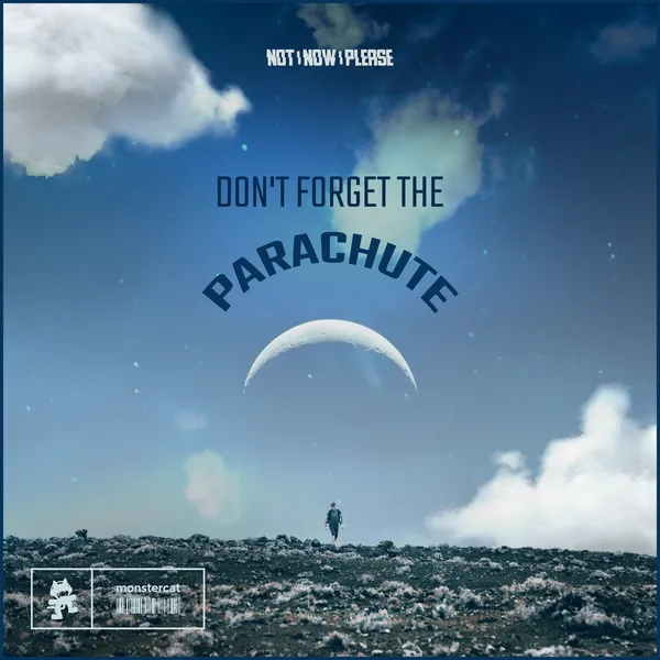 Album art of Don't Forget The Parachute