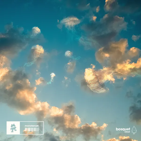 Album art of Cloud
