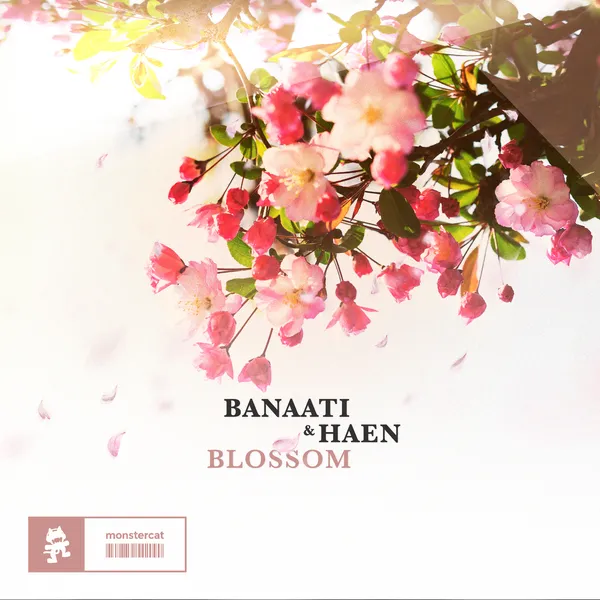 Album art of Blossom