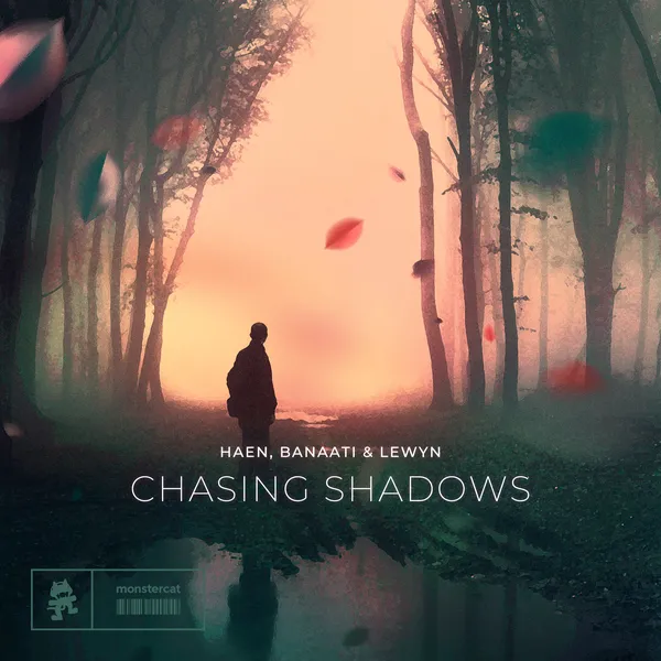 Album art of Chasing Shadows