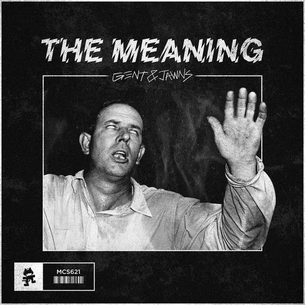 Album art of The Meaning