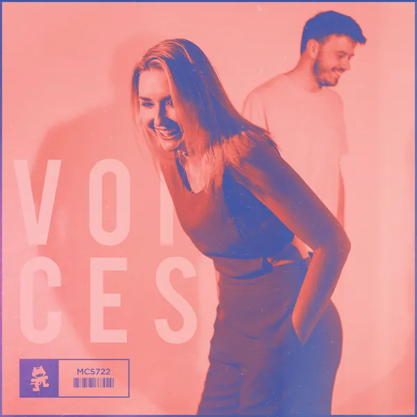 Album art of Voices
