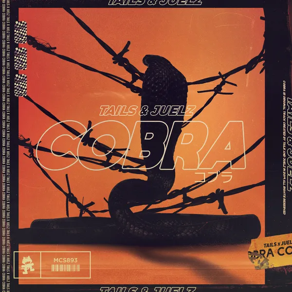 Album art of Cobra