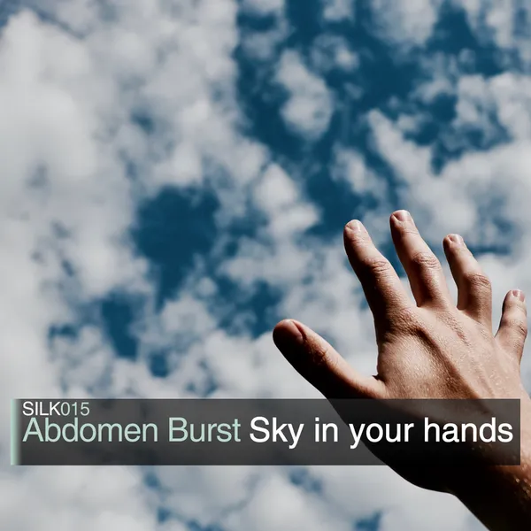 Album art of Sky In Your Hands