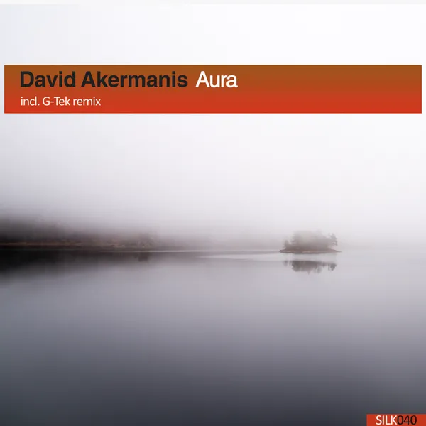 Album art of Aura
