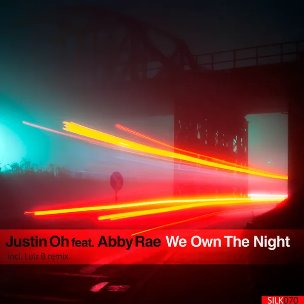 Album art of We Own the Night