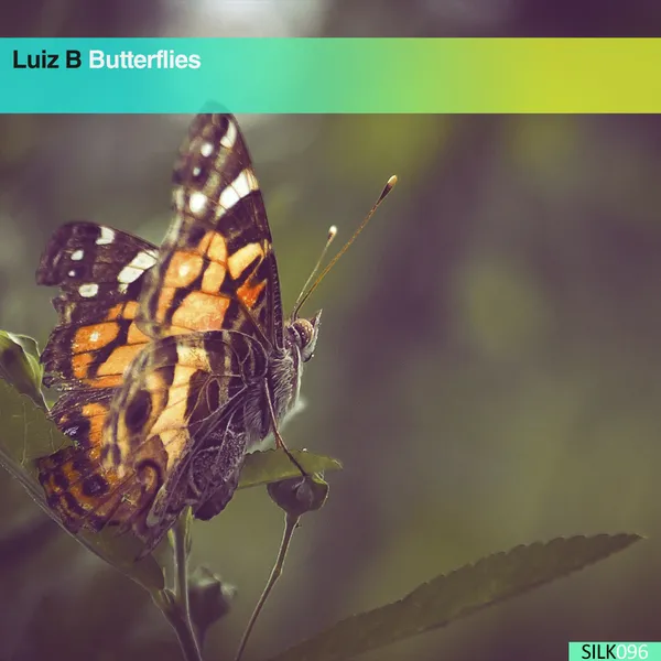 Album art of Butterflies