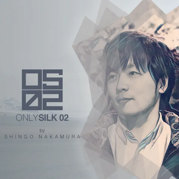 Album art of Only Silk 02