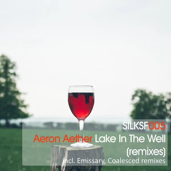 Album art of Lake In The Well