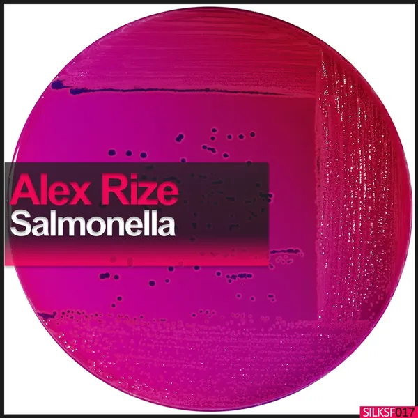 Album art of Salmonella