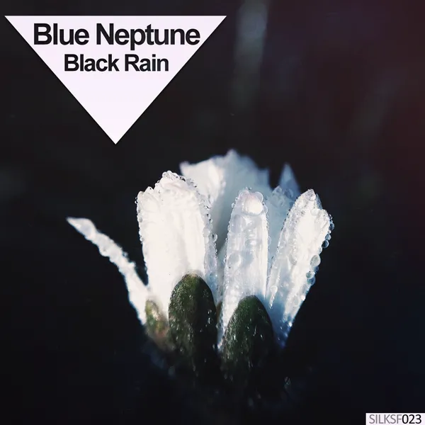 Album art of Black Rain