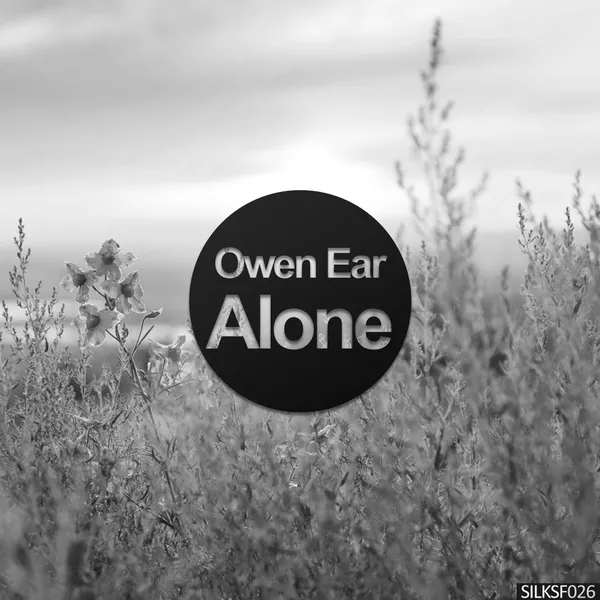 Album art of Alone