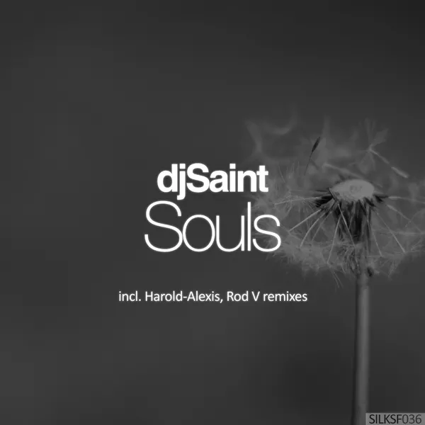 Album art of Souls