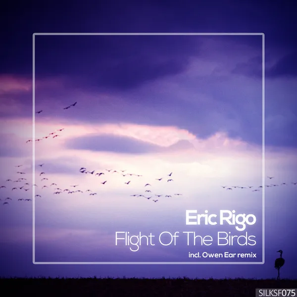 Album art of Flight of the Birds