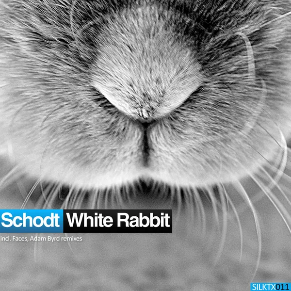 Album art of White Rabbit