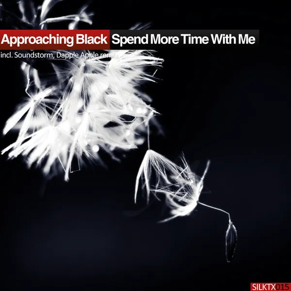 Album art of Spend More Time With Me