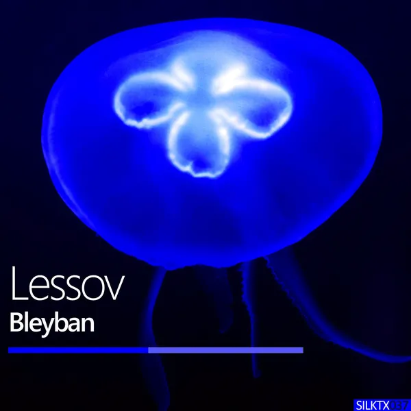 Album art of Bleyban
